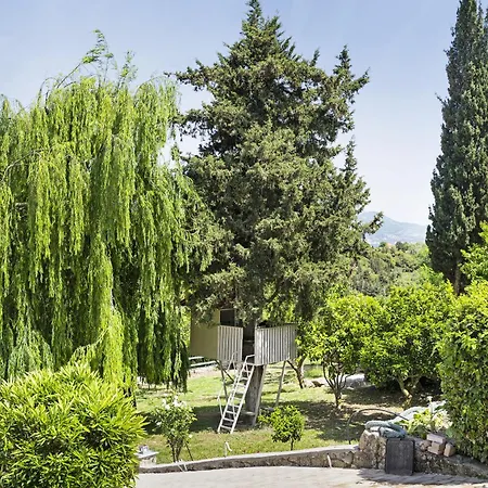 Paradiso Verde 3 *